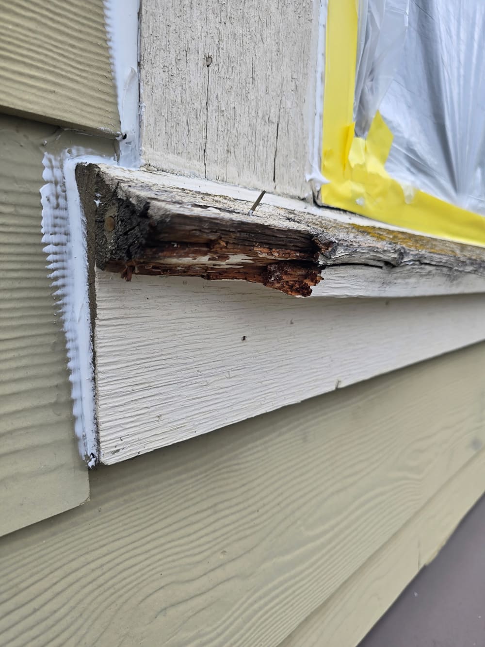 Rotted window trim cut out, repaired and caulked before exterior painting